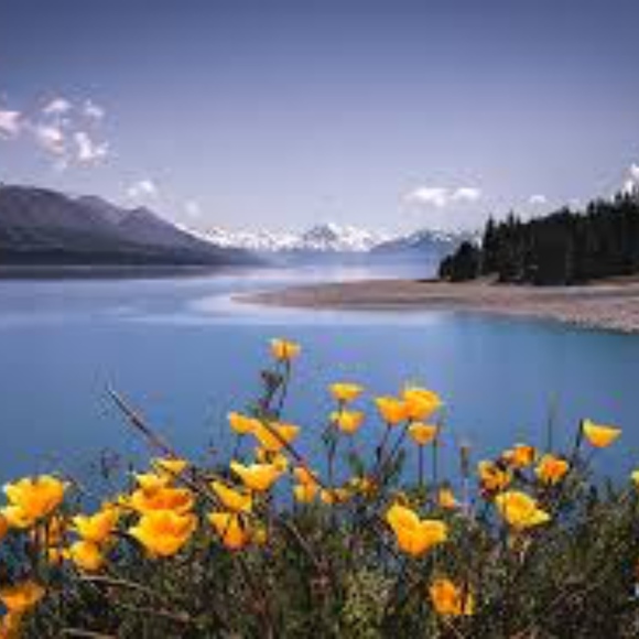 Meet your Posher, Michele - Picture 2 of 2